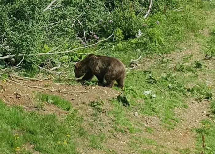 Haus Duranna - Rocks Appartamento *